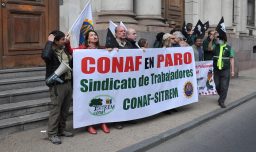 Fedetur pide poner fin al paro de Conaf y apela a impactos en el turismo